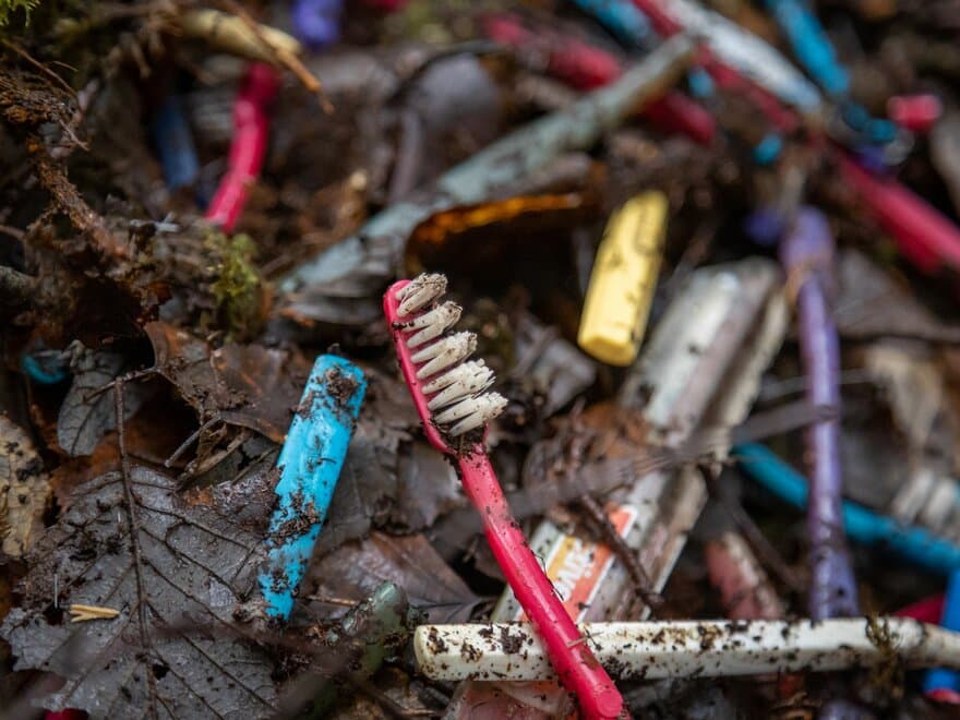 Skaftene på tannbørster og oppvaskbørster er blitt litt ruglete i løpet av tiårene. Det får forskerne til å tro på at de skal finne bakteriene som spiser akkurat slik plast. 