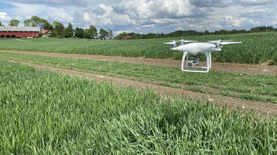 The drone with camera effectively records large amounts of information about the plants it hovers over.