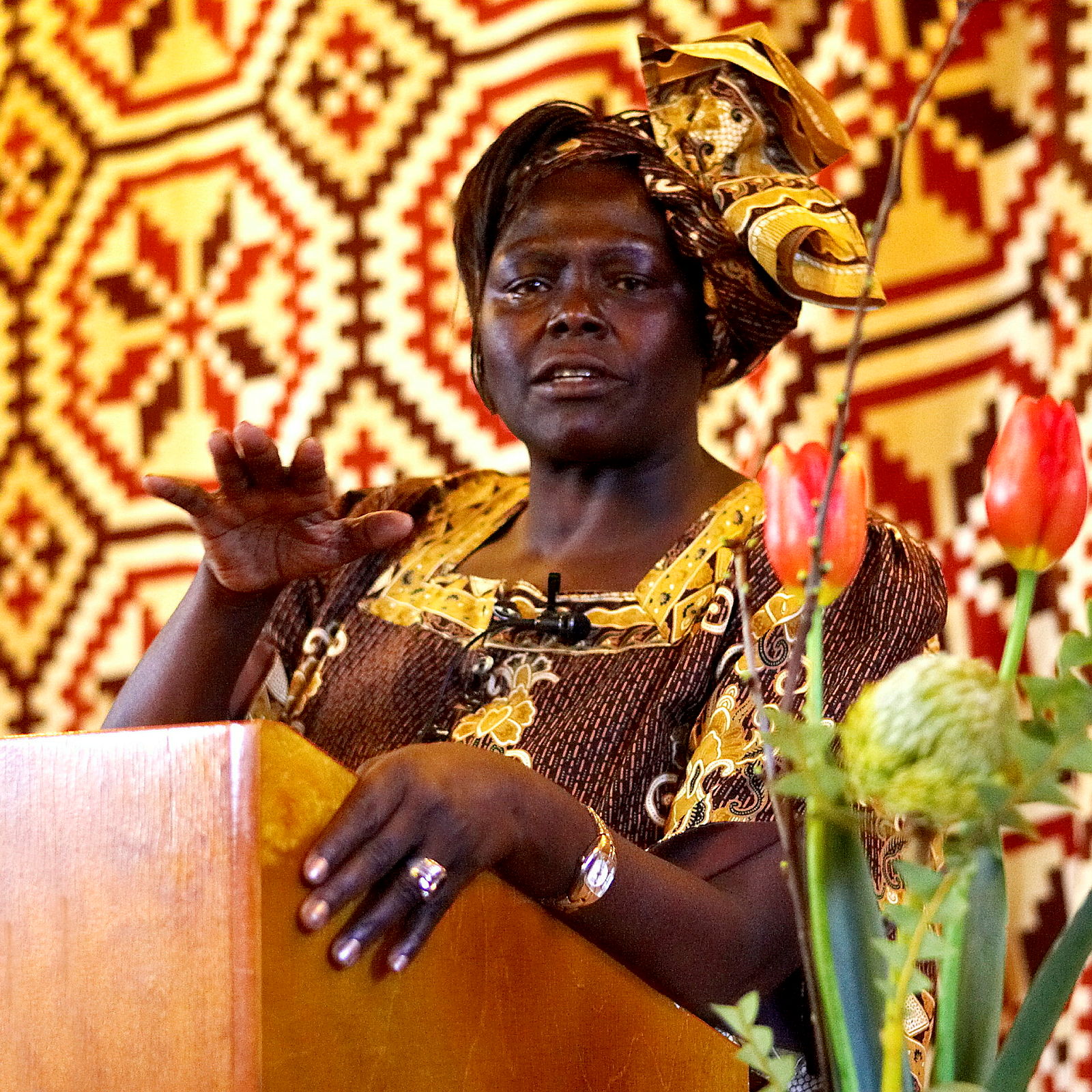 Vinneren av Nobels fredspris Wangari Maathai besøker torsdag 10. februar Universitetet for miljø- og biovitenskap. Maathai ble utnevnt som æresdoktor ved UMB på Ås i 1997, og holder foredrag om forholdet mellom bærekraftig bruk av naturressurser og 