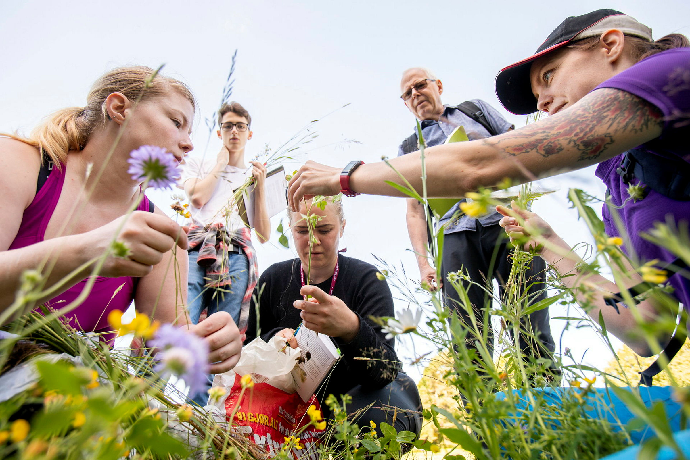 Bildet er tatt i forbindelse med kurs for studenter fra MINA NMBU som lærer seg plantekjennskap