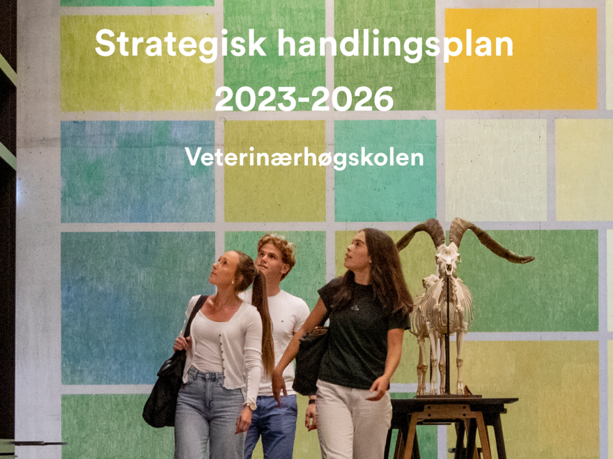 Forsiden til Veterinærhøgskolens strategiske handlingsplan 2023 - 2026