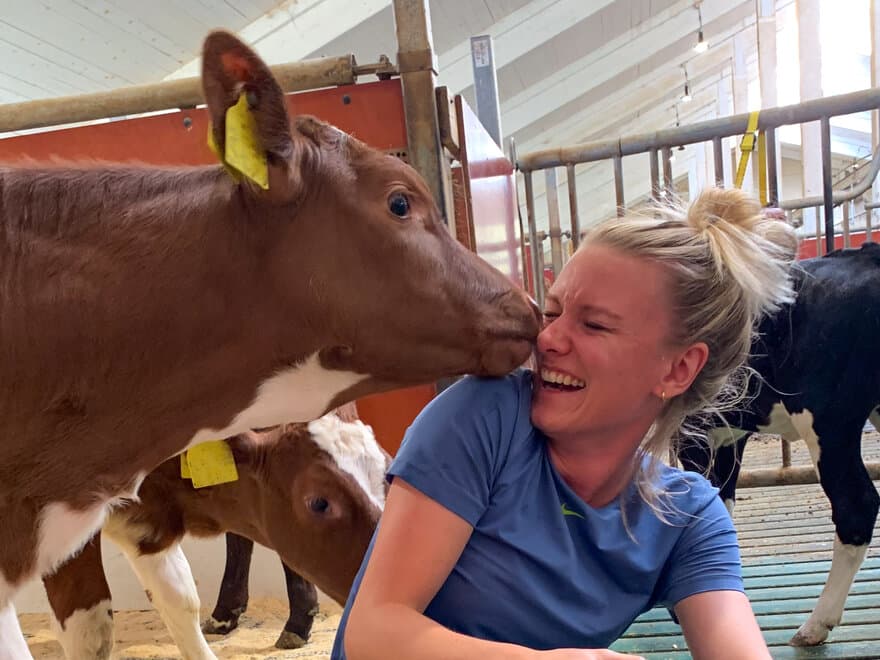Bildet viser Thea Skiaker sammen med en kalv som slikker henne i ansiktet.