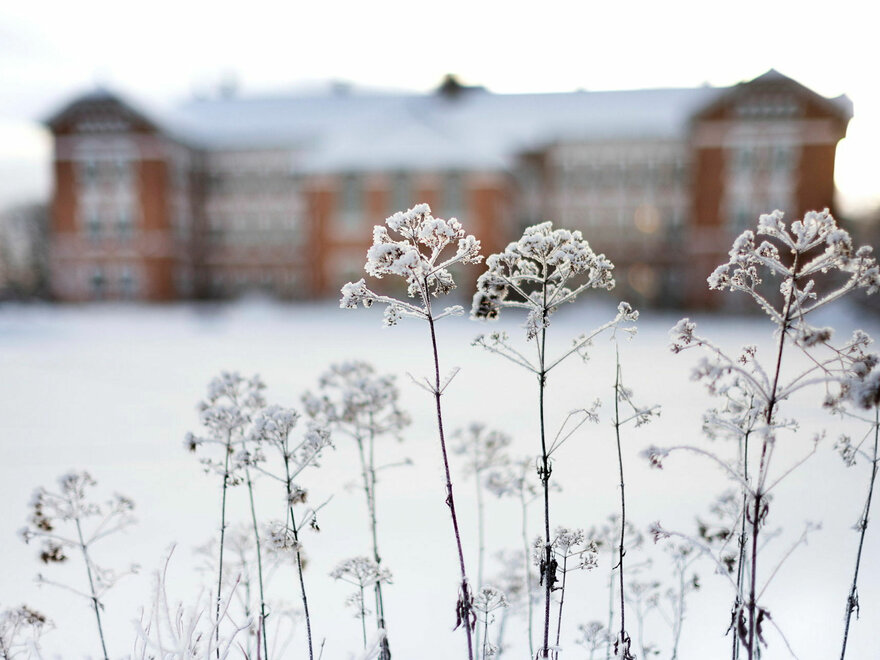 Vinterbilder av campus januar 2024
