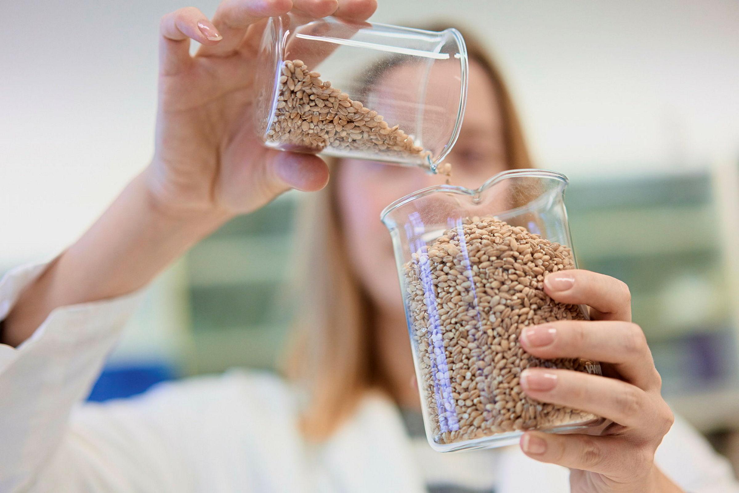 Tora Asledottir er stipendiat på KBM.