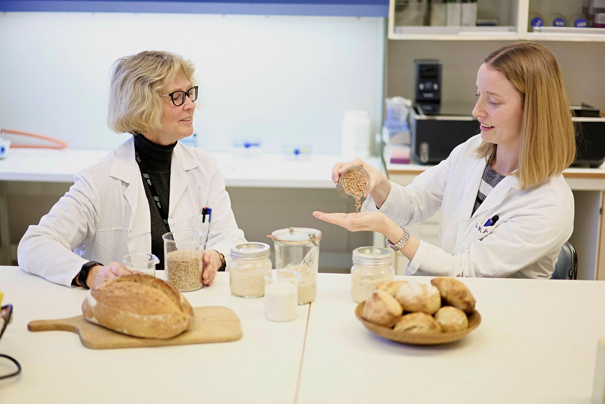 Bilde av stipendiat ved KBM, Tora Asledottir, og professor Hilde Marie Østlie på laboratorium