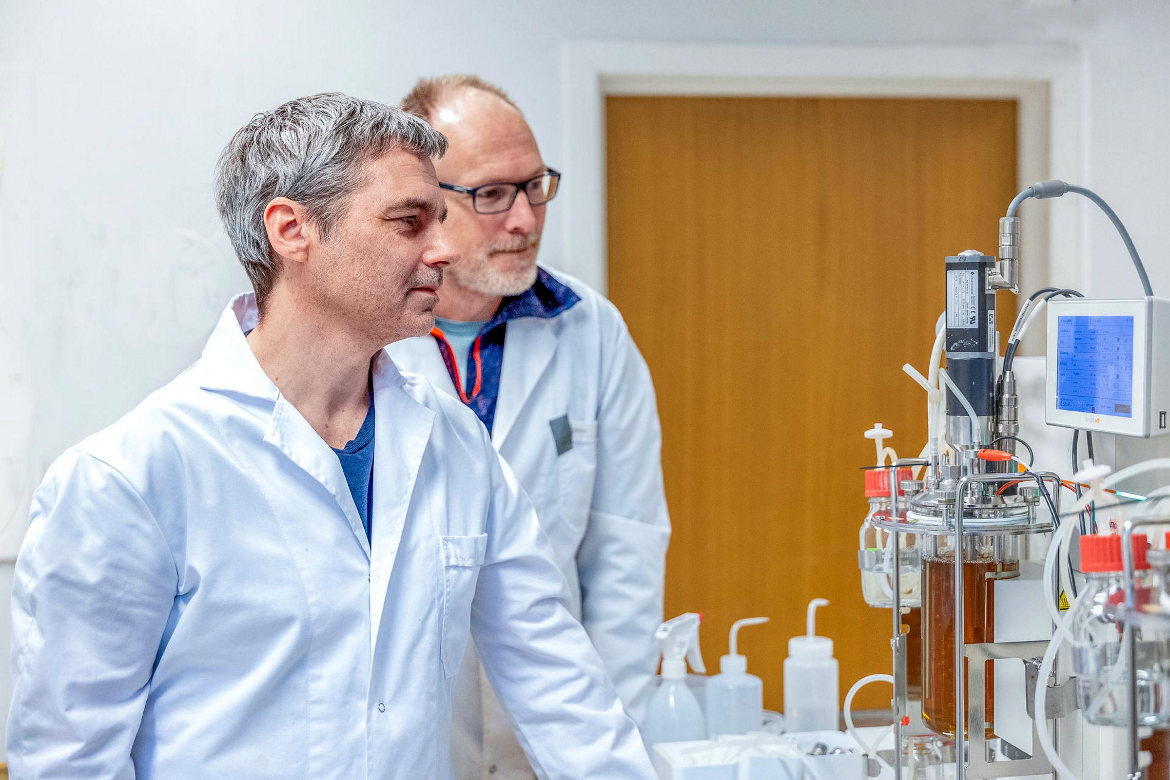 Professor Svein Horn og førsteamanuensis Bjørge Westereng inspiserer en pågående fermentasjon på NMBUs fermentasjons laboratoriet hvor forskjellige mikroorganismer eller parameter kan testes samtidig.
Professor Svein Horn and Assoc. Professor Bjørg