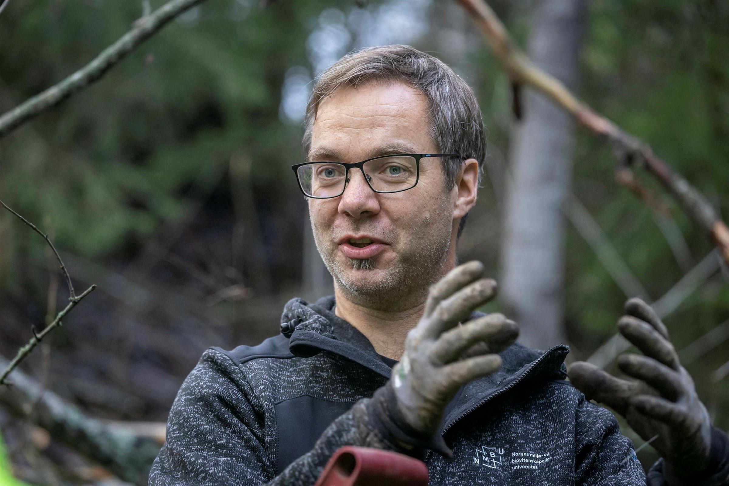 Tannbørster og plast fra produksjon som Jordan dumpa i skogen i Åsnes på 1970 og 1980 tallet er nå en del av et forskningsprosjekt hos NMBU.
Bildene viser innsamling av prøver til forskning for å bryte ned og gjenvinne plastavfall gjennom naturlige