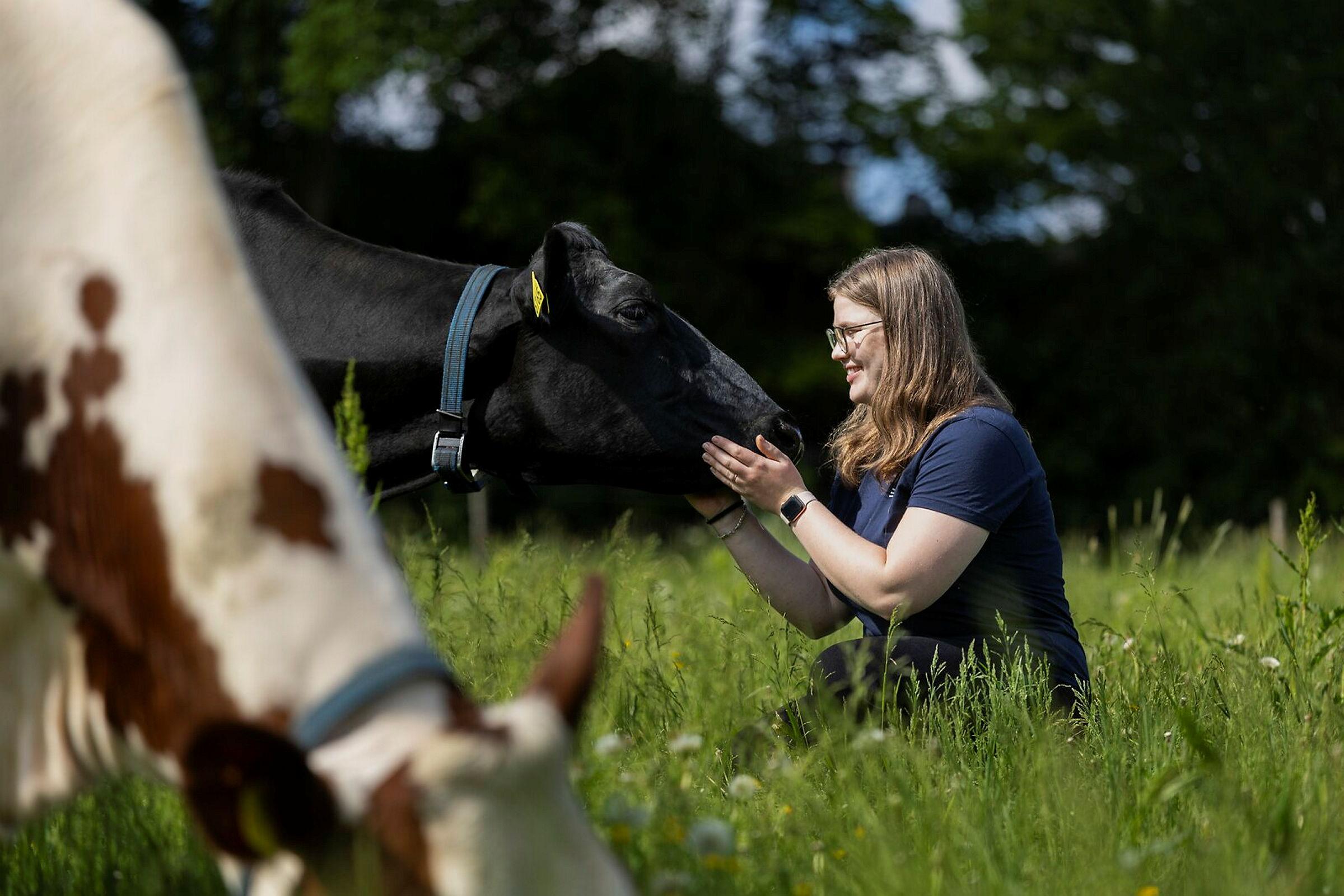 Kristin Nesheim-Henne
med melkekyr på beite ved sommerfjøset på Årungen.
