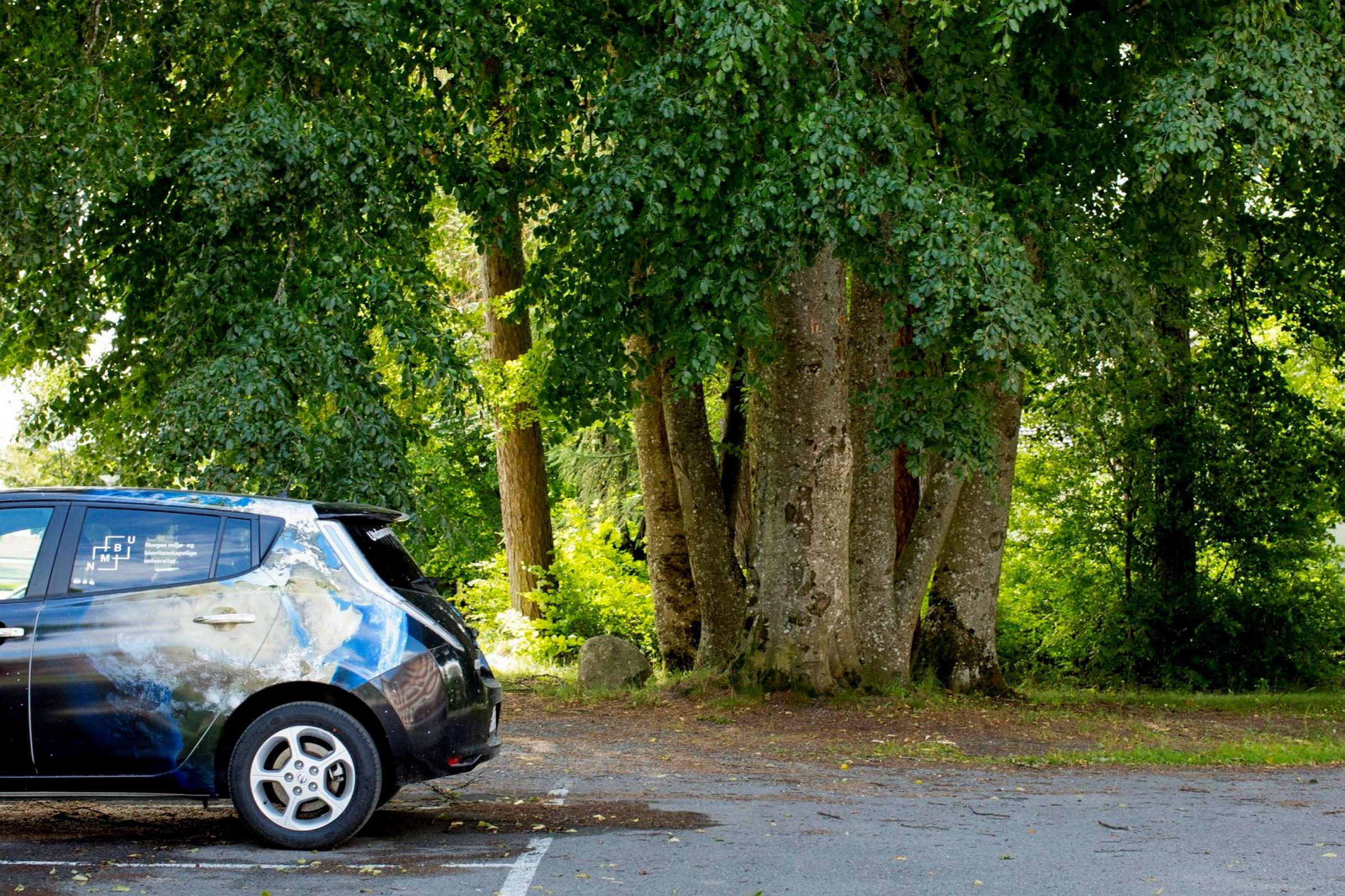 Bildet viser Elektrisk bil av typen Leaf parkert på Universitetstunet