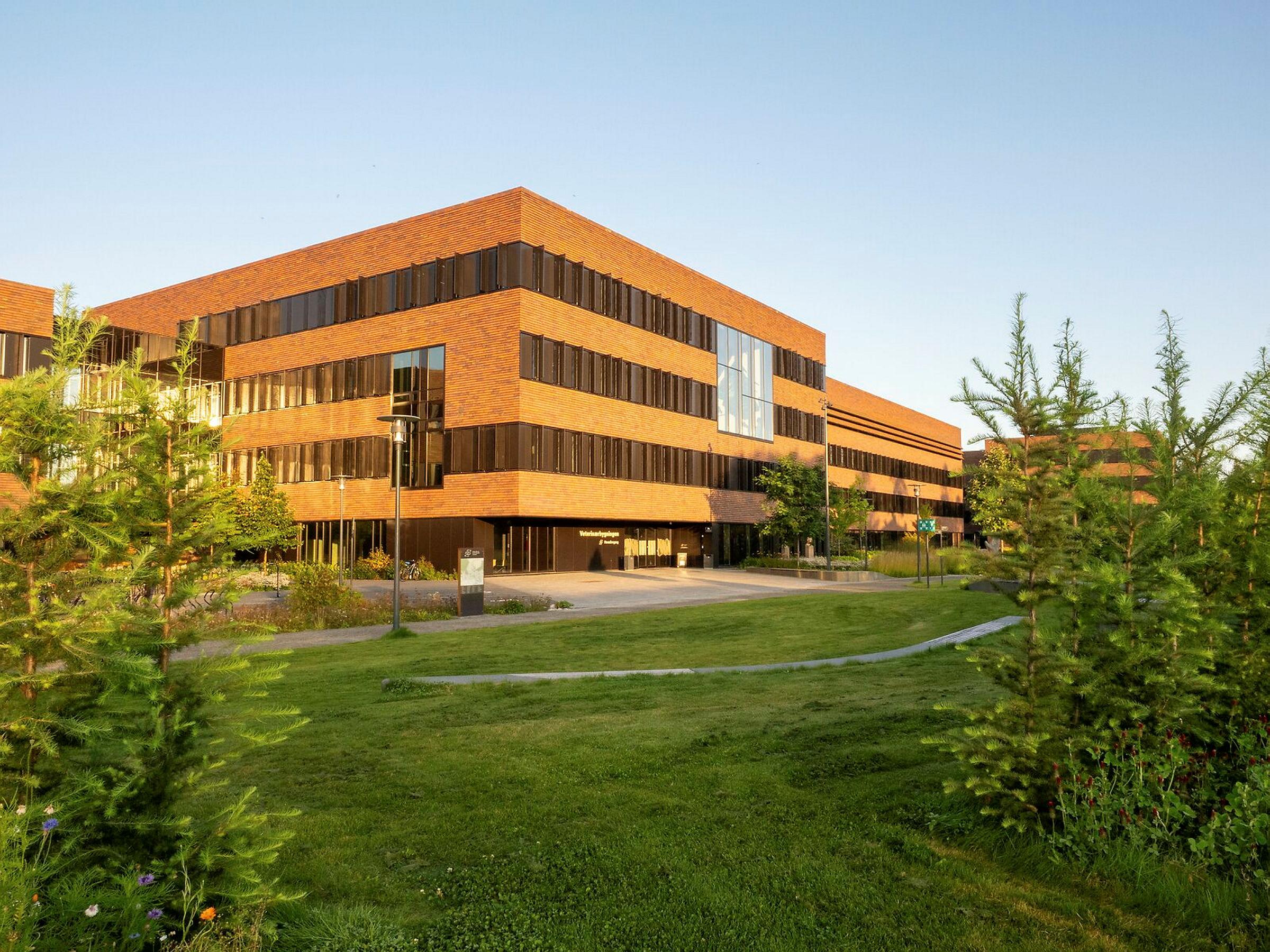 Veterinærbygningen og campus en tidlig i morgen i september.