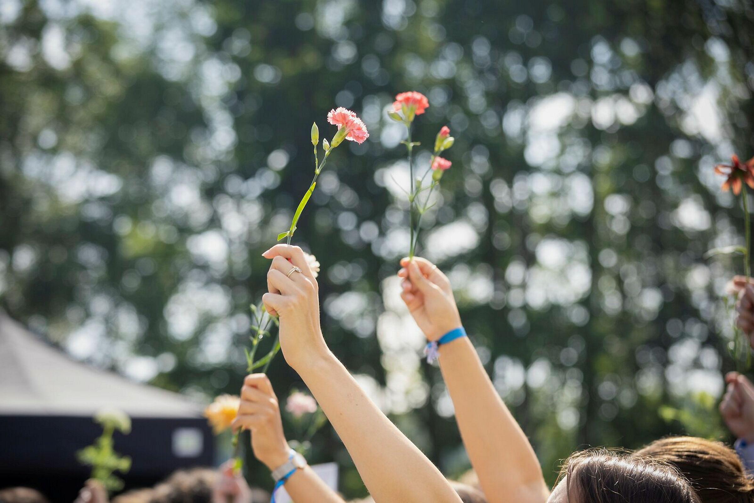 Immatrikuleringen 15.08.2005