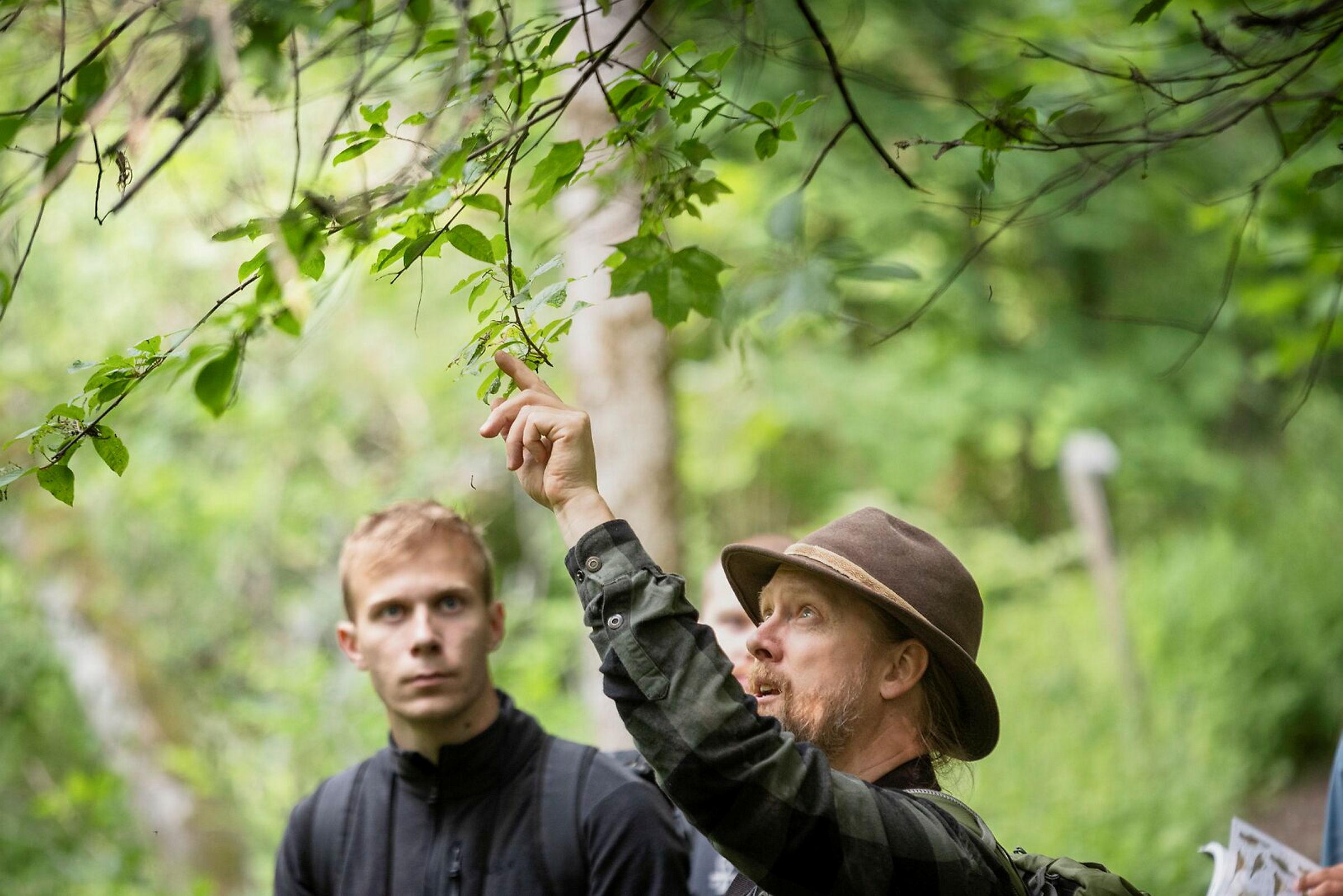 Ronny Steen Førstelektor ved Fakultet for miljøvitenskap og naturforvaltning NMBU tar med studenter i Syverudskogen ved Årungen.
Kurset ZOOL210 Virveldyr // https://www.nmbu.no/emne/zool210
Emnet skal utvikle studentens evne til å forstå at alle arte