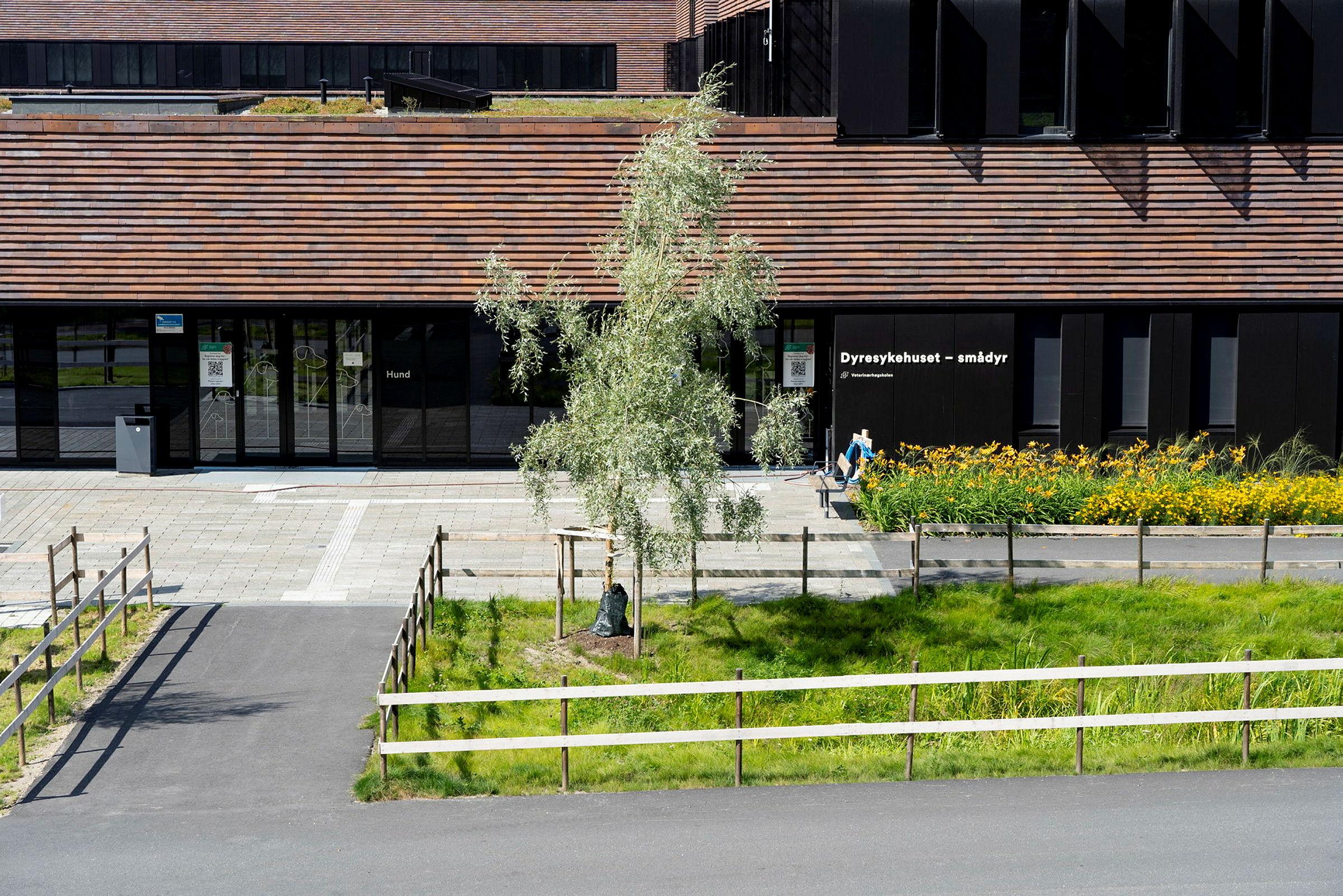 De nye veterinærbygningene på NMBU august 2021