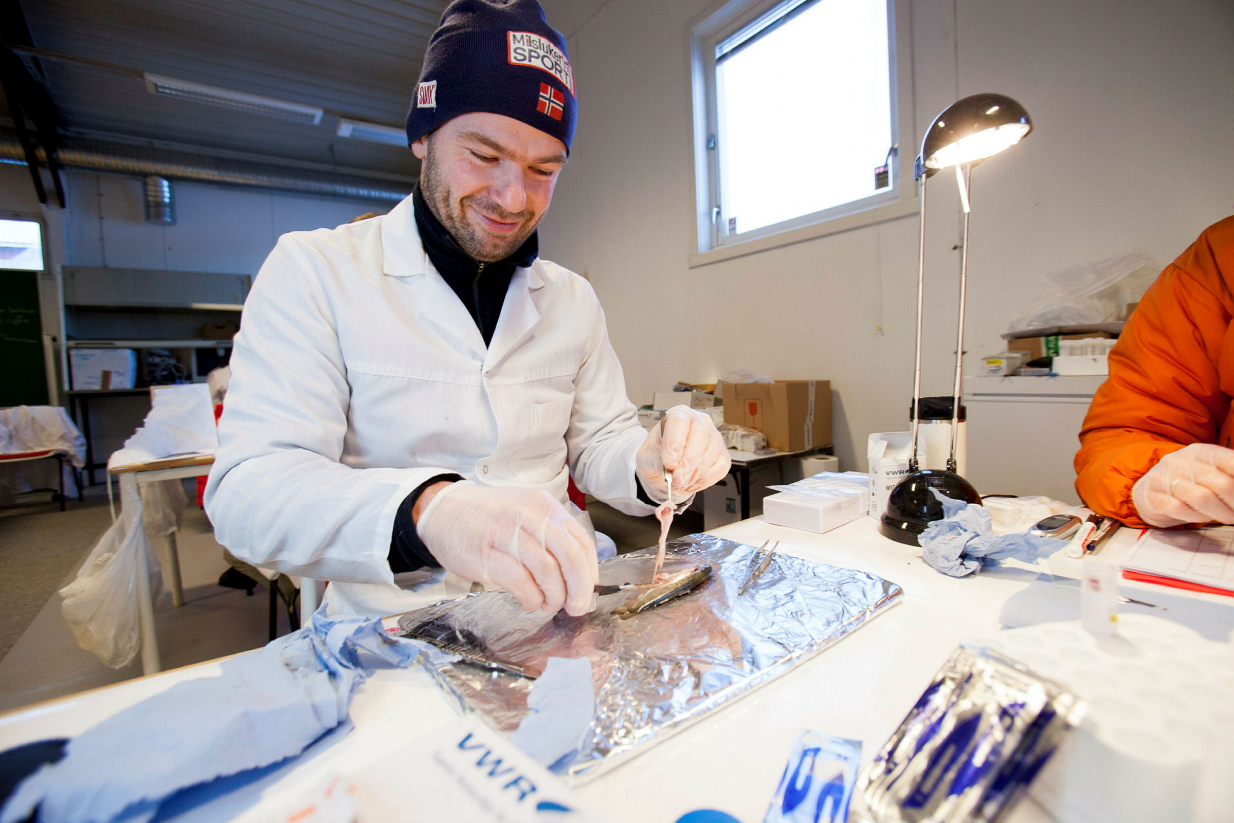 Bildet er fra et forskningsprosjekt med uttak av fisk fra fiskelaben på UMB. Isotoplaboratoriet ved IPM undersøker fisk på Norderås.