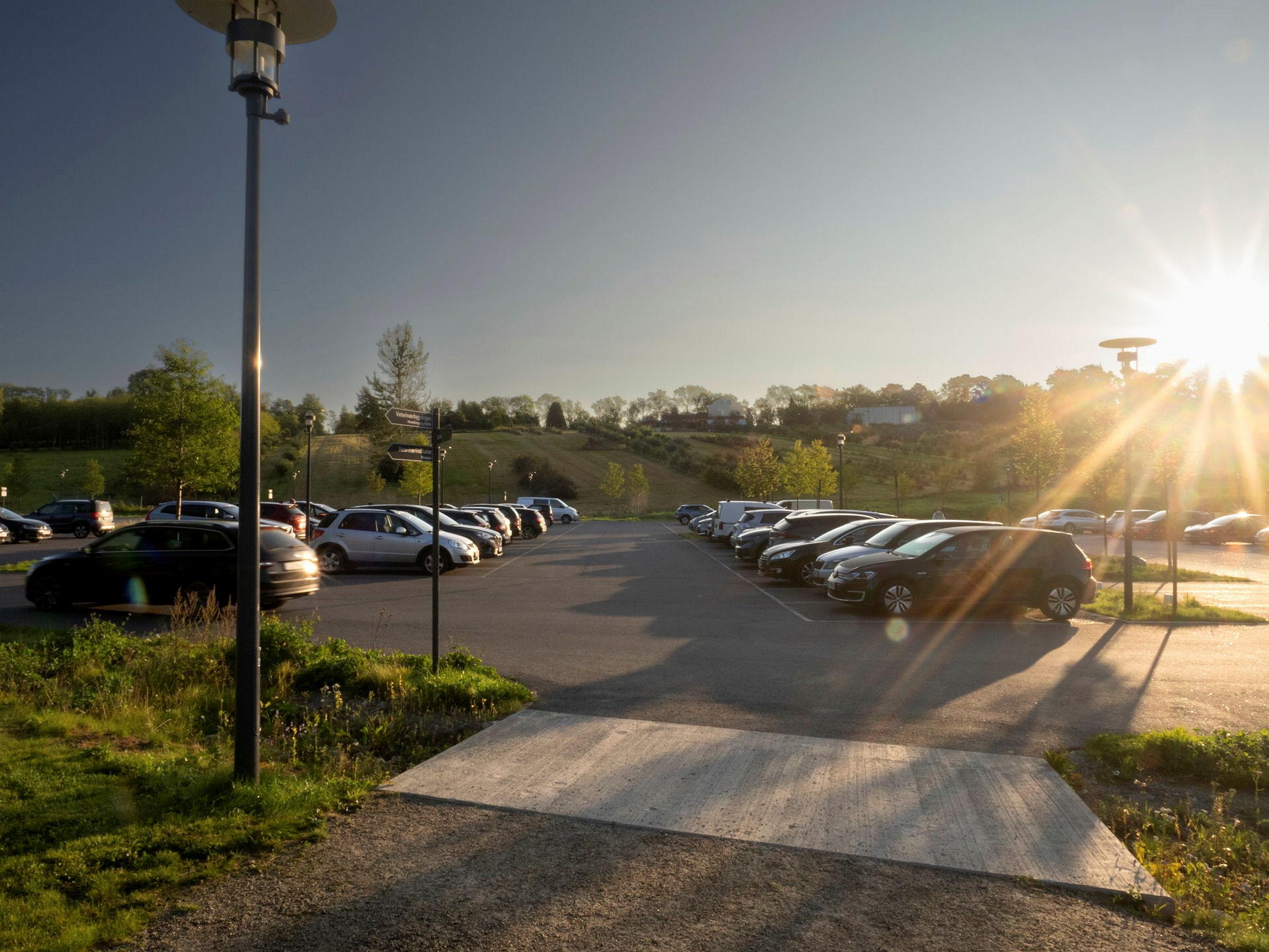 Veterinærbygningen og campus en tidlig i morgen i september.