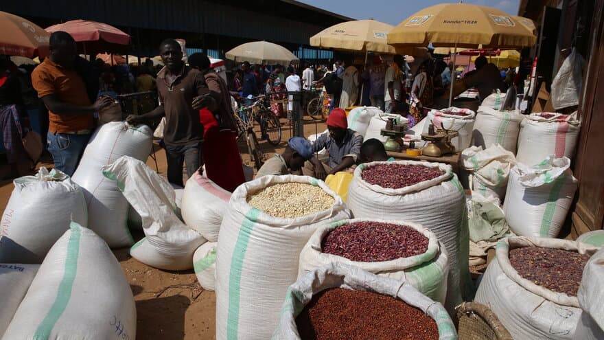 Grain and seed market