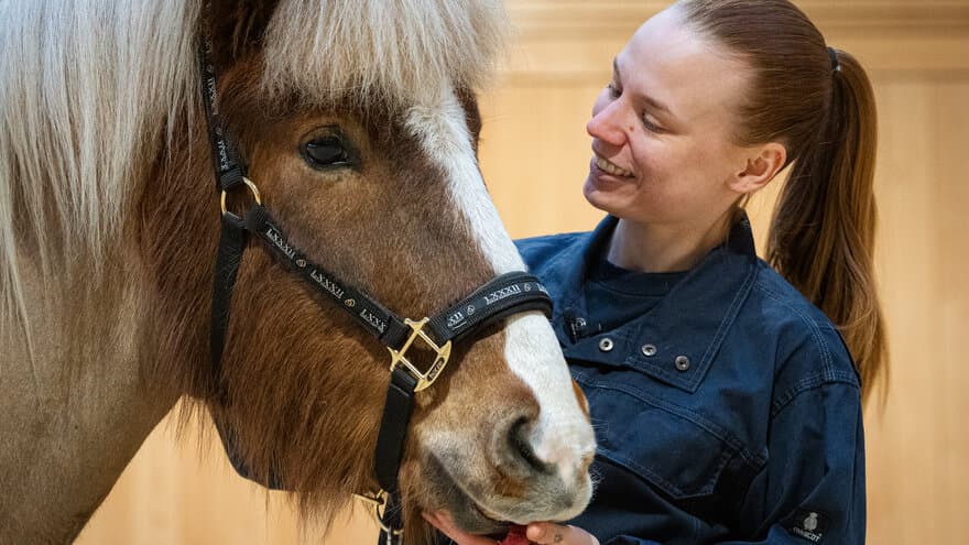 Dyrepleierstudent Live Brattberg Ørmen med en hest