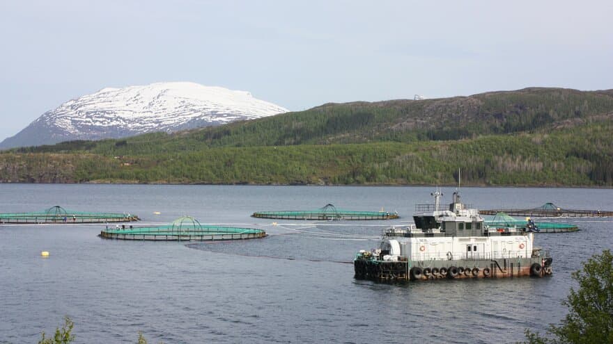 Merder og båt i sjøen i Nord-Norge