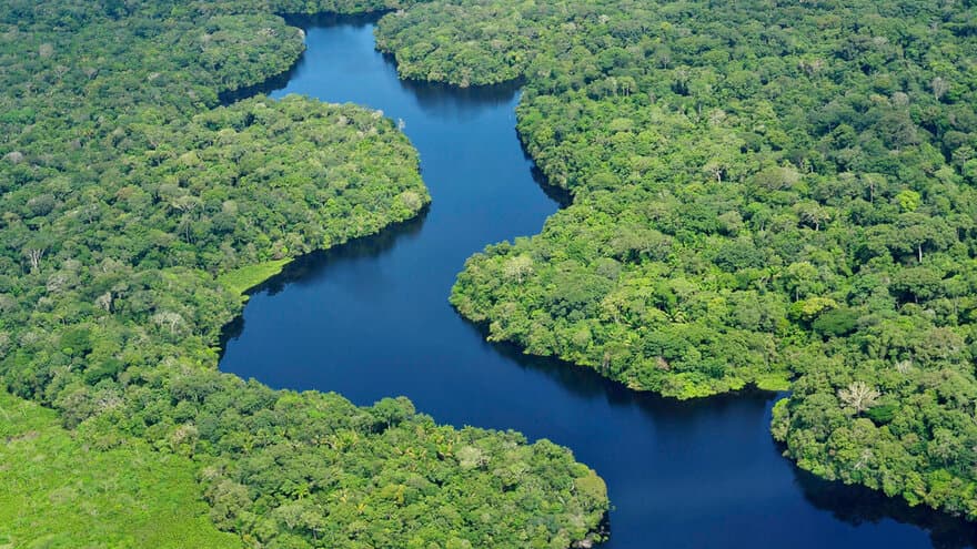 Aerial view of the Amazon rainforest, near Manaus, the capital of the Brazilian state of Amazonas. Brazil.