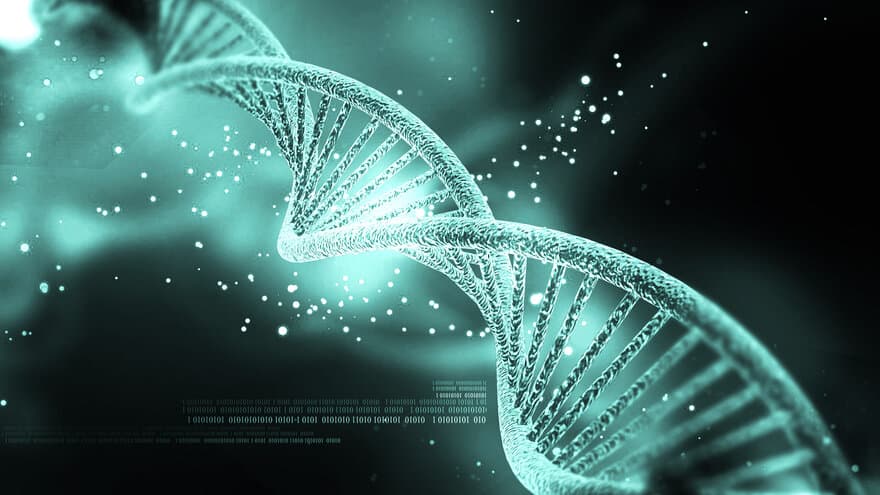 DNA-streng