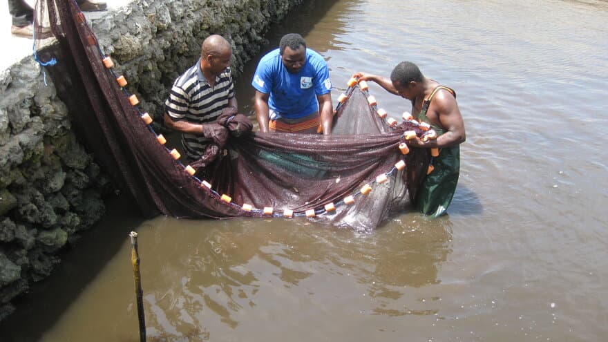 Eliezer Brown Mwakalapa fanger fisk i garn for å undersøke dem for miljøgifter.