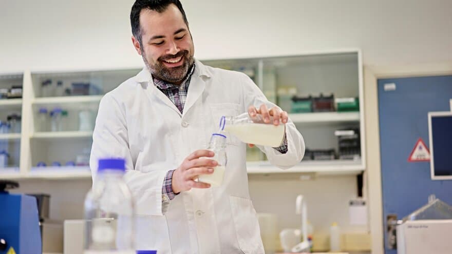 Davide Porcellato skal undersøke melkeprøver i laboratoriet for å finne ut av hvilke mikrober som er til stede og hvilke som gjør hva, samtidig som han ser på vertens immunstatus. 