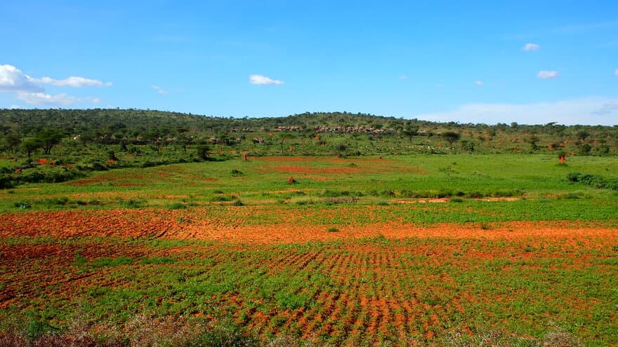 Agricultural landscape in Borana, Ethiopia.