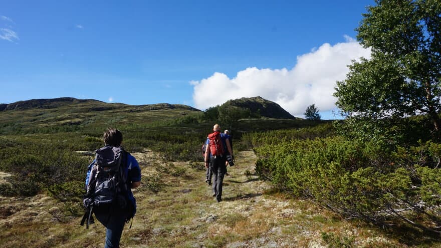 Turister på tur i Dovrefjell-Sunndalsfjella Najsonalpark