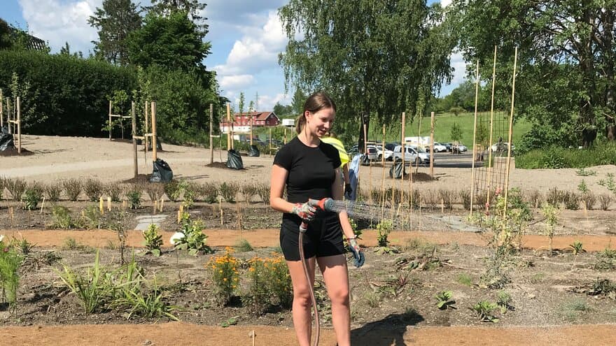 Ingrid Josefine Salo Raknes går første året ved landskapsarkitektur og er en av ti studenter som er med på pilotprosjektet "Urbant landbruk i praksis". 