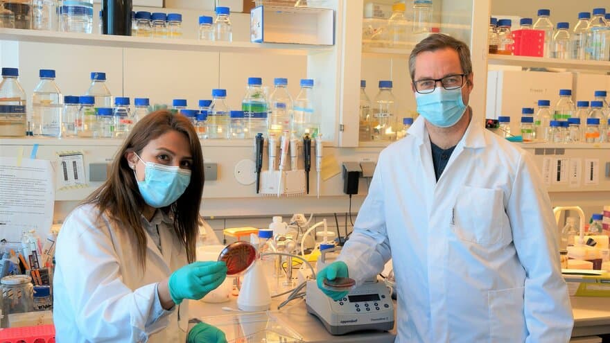 Fatemeh Askarian og Gustav Vaaje-Kolstad ved NMBU forsker på hvilken rolle enzymene spiller for å hjelpe bakterier som kan gjøre deg syk.