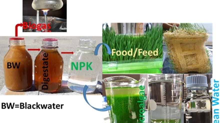Treatment of source-separated blackwater for resource recovery 