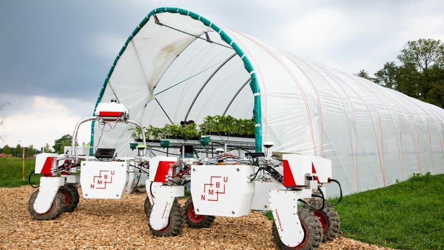 Thorvald er en lett, batteridrevet og selvgående landbruksrobot som er utviklet av forskere og studenter i robotikkgruppen ved Fakultet for realfag og teknologi, NMBU.