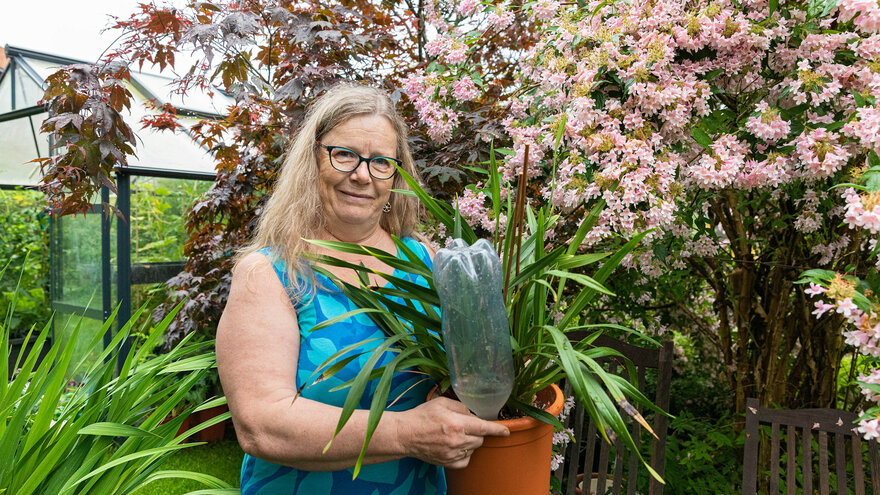 Trine Hvoslef-Eide, professor i anvendt bioteknologi på NMBU, har flere triks for å sørge for plantene når hun tar ferie.