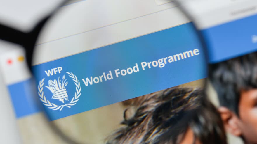 FNs World Food Programme - verdens matvareprogram - vatn Nobels fredspris i år.