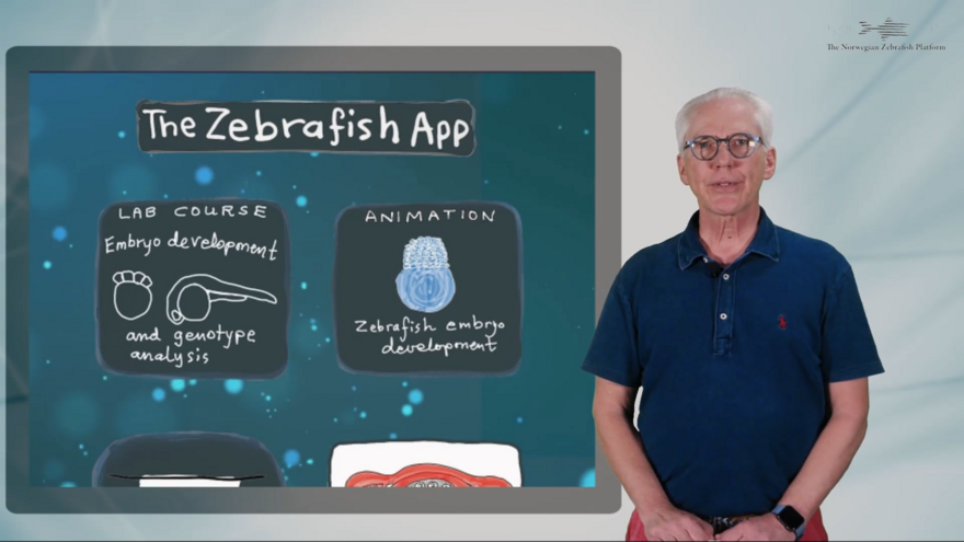 Peter Alestrøm, The Zebrafish App