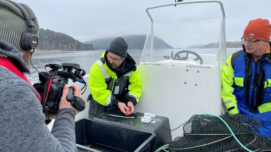 Med kamera på fiskebåten: filmfotografer er med NMBU-professorene ut på Oslofjorden når de skal ta prøver av fisk og vann. 