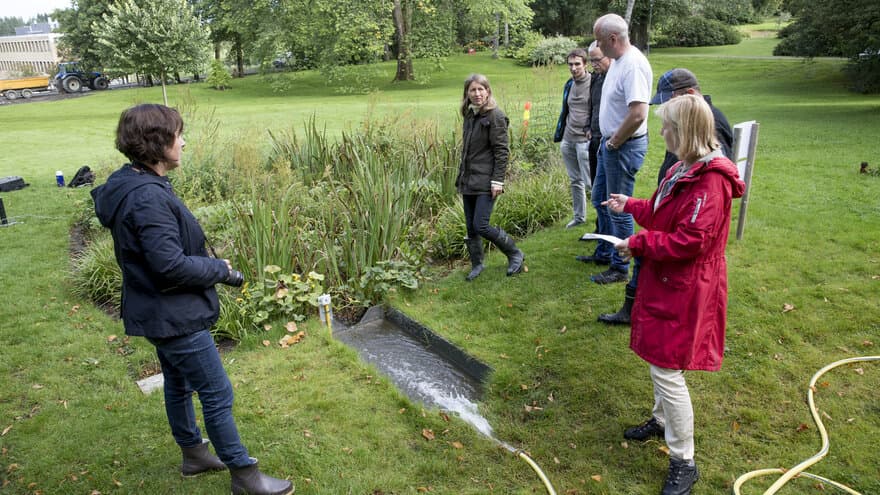 I Norge er det spådd mer styrtregn i årene som kommer - og dermed større flomfare i byene. Regnbed testes i landskapslaben på campus Ås som et tiltak for å fordrøye store mengder vann. 