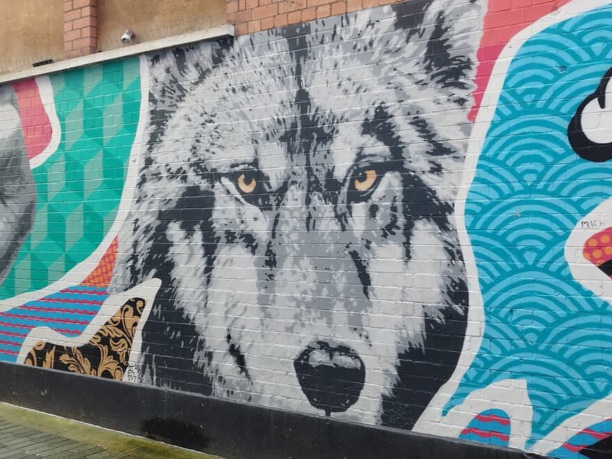 Wolf mural, Belfast in Northern Ireland.