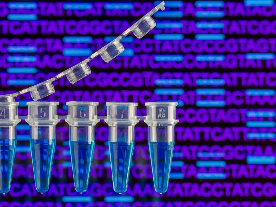 Illustrasjonsfoto av PCR og DNA. 