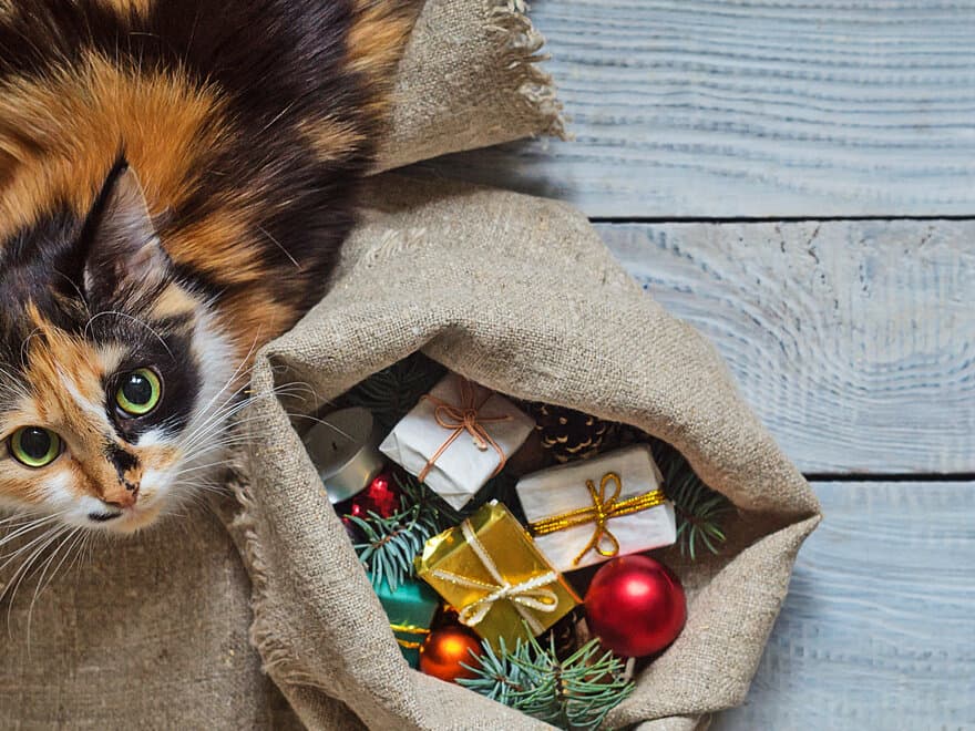 På bildet er en katt som sitter ved siden av en sekk med julegaver.