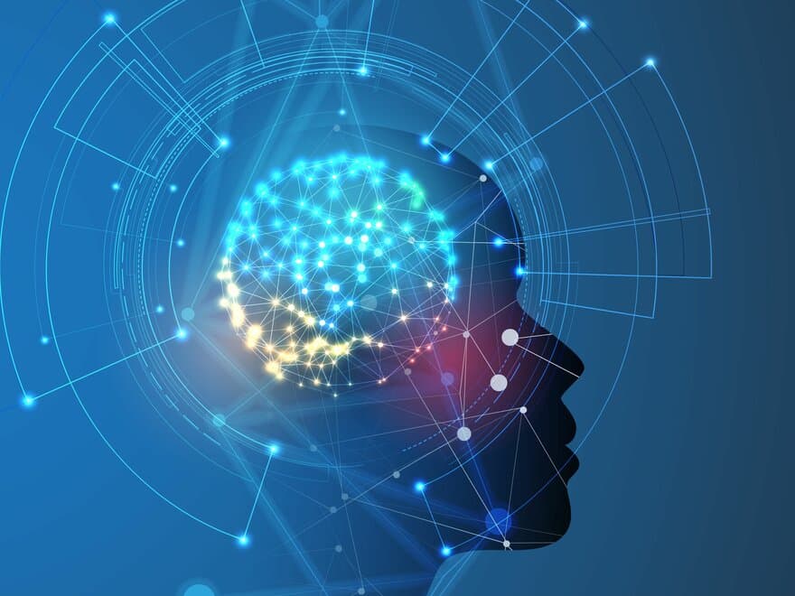 The Human Brain Project (HBP) utvikler programvare for fremtidens hjernevitenskap.