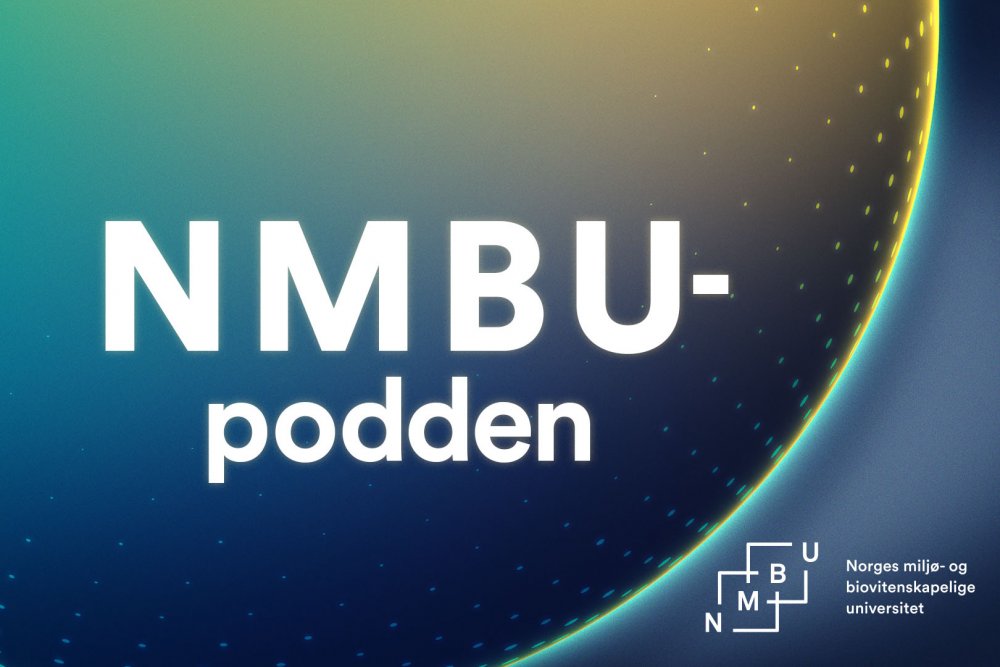 NMBUpodden - logo