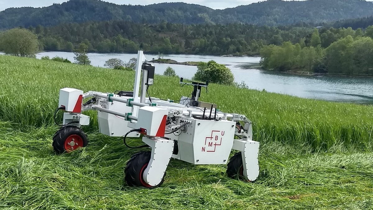 Robot cutting grass
